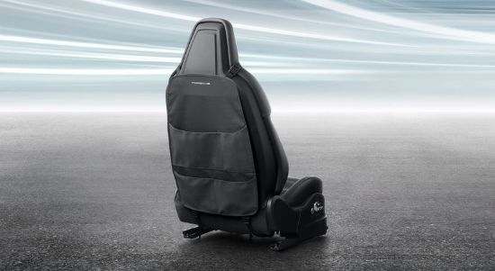 Picture of Backrest Protector