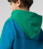 Picture of Hoodie, RS 2.7, Kids, 110cm