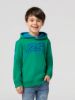 Picture of Hoodie, RS 2.7, Kids, 110cm