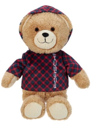 Picture of ‘Ferry’ teddy bear